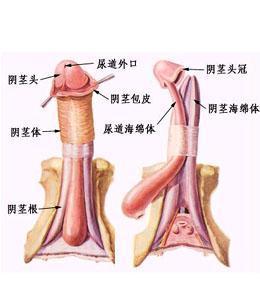 不射精癥