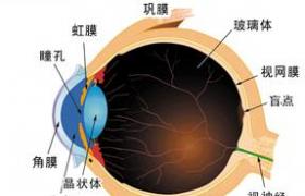 白內障 老年性白內障 年齡相關性白內障