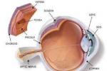 眼眶假瘤 H05.804 特發性非特異性眼眶炎