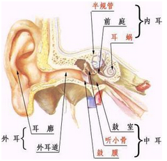 耵聹栓塞 H61.201 