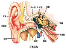 先天性耳聾 Congenital deafness 先天性聾 先天性聽力障礙