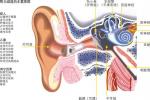 先天性耳聾 Congenital deafness 先天性聾 先天性聽力障礙