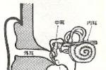 中耳氣壓傷 Middle ear barotrauma