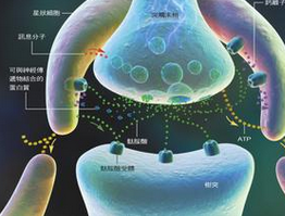 新生兒低鎂血癥 P71.251 