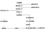 小兒尿路梗阻 小兒泌尿系統梗阻