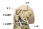 半月板損傷 S83.653 meniscus injury 膝蓋半月板損傷