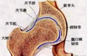 股骨頸骨折 S72.002 