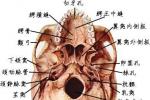 顱底骨折 S02.101 