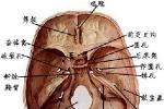 顱底骨折 S02.101 