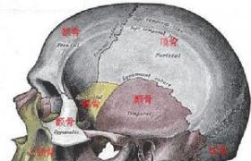 顳骨骨折 S02.103 