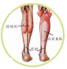 跟腱後滑囊炎