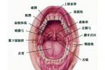 口咽良性腫瘤