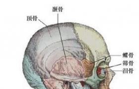 側顱底腫瘤