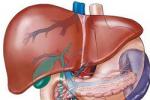 原發性肝癌 肝癌 primary carcinoma of the liver