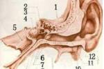 中耳癌 carcinoma of middle ear