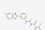 增生性毛根鞘瘤 增生性毛膜瘤 頭皮毛發瘤 頭部毛發腫瘤