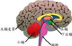 小兒顱內腫瘤 小兒中樞神經系統腫瘤