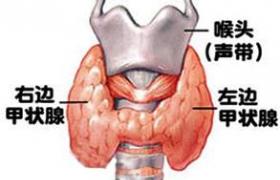 甲亢 甲狀腺功能亢進 甲狀腺功能亢進癥