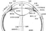 法佈裡病 法佈裡氏病 費波瑞病 磷脂沉著綜合征 彌漫性血管角質瘤 遺傳性營養不良類脂沉積癥 α-半乳糖苷酶A缺乏病 安德森-法佈裡病 彌漫性體血管角質瘤