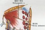 急性上呼吸道感染 上感