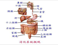 結腸炎 K52.909 非特異性潰瘍性結腸炎