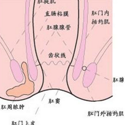 肛周膿腫 K61.002 