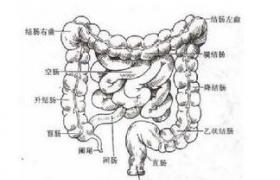 結腸直腸損傷