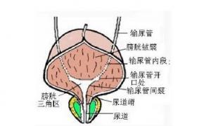 膀胱損傷 S37.2051 