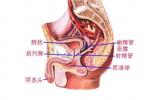 輸尿管腫瘤