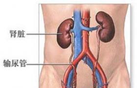 腎創傷 Renal trauma