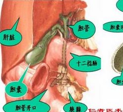 外傷性膽管損傷