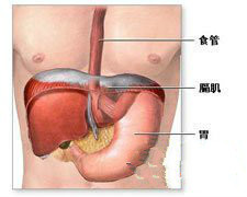 膈撲動 膈肌撲動