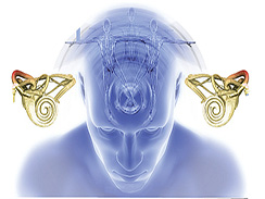 眩暈 R42.X01 前庭系統性眩暈 前庭性眩暈 真性眩暈