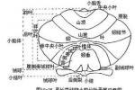 脊髓小腦變性癥 脊髓小腦性共濟失調 小腦萎縮癥 脊椎小腦失調癥