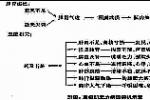 重癥肌無力危象 肌無力危象