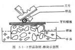 包涵體肌炎 散發性包涵體肌炎
