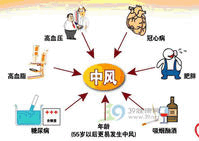 腦血管疾病 腦中風 腦血管意外 腦卒中