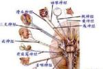 進行性延髓麻痹 延髓進行性麻痹