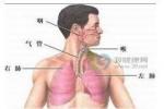 運動障礙疾病 錐體外系疾病