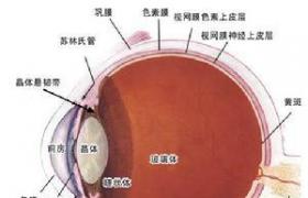 急性全自主神經失調癥 急性全自主神經病 急性自主神經危象 交感發作