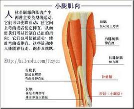 抽搐與驚厥 痙攣與驚厥