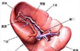 濕熱痢