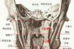 經行尿感 The line of urinary tract infection