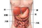 胃腸型食物中毒 A05.952 