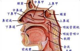 鼻竇氣壓傷