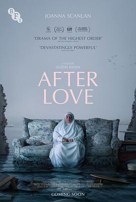 愛的後事 After Love