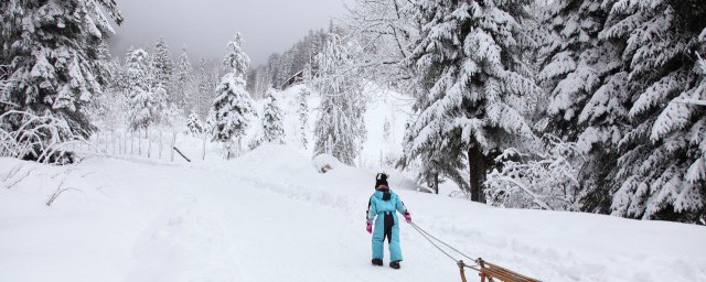 夢見下雪是什麼意思預兆 夢見下雪好不好