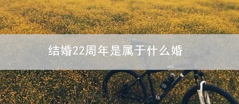 结婚22周年是属于什么婚