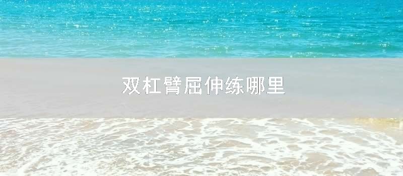 双杠臂屈伸练哪里