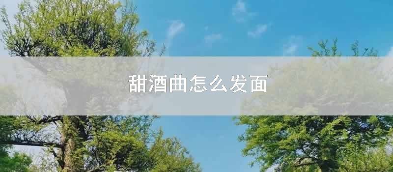 甜酒曲怎么发面